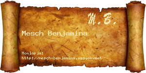 Mesch Benjamina névjegykártya